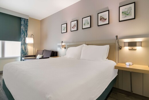 Hilton Garden Inn Madison West/Middleton