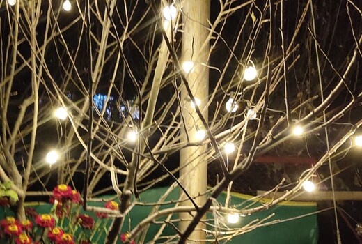 Paradise escape homestay