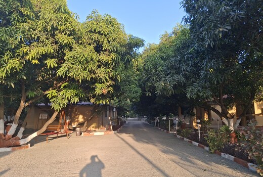 Gir vivaan resort