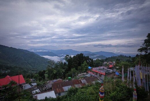 Goo Tea Hill Entire Property