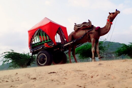 Desert Safari Camp