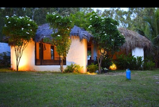 Olive Jungle Resort