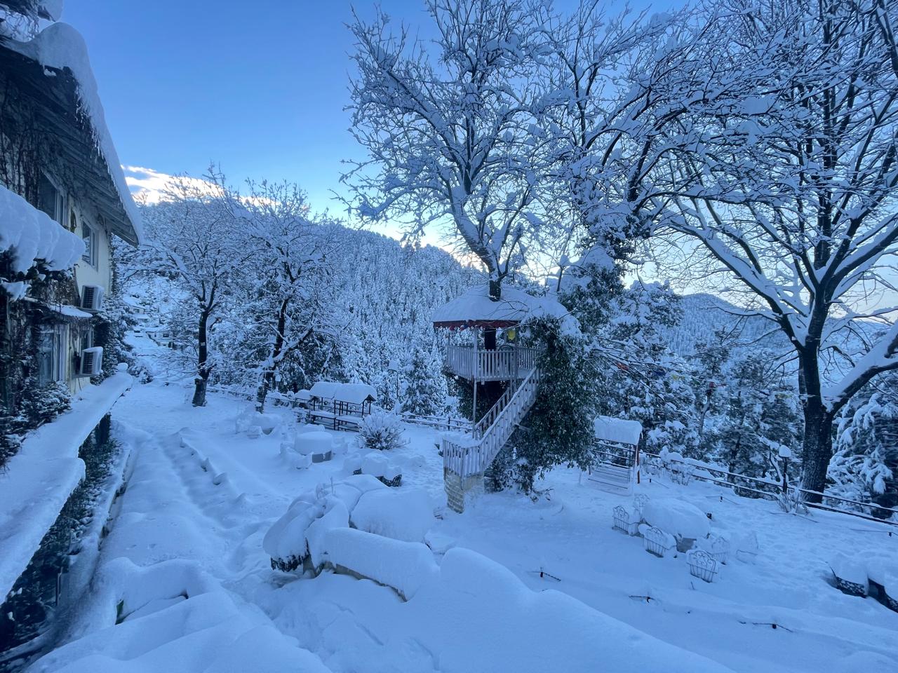 Alps Resorts