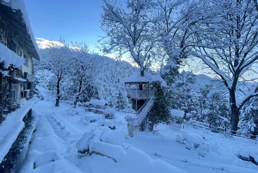 Alps Resorts