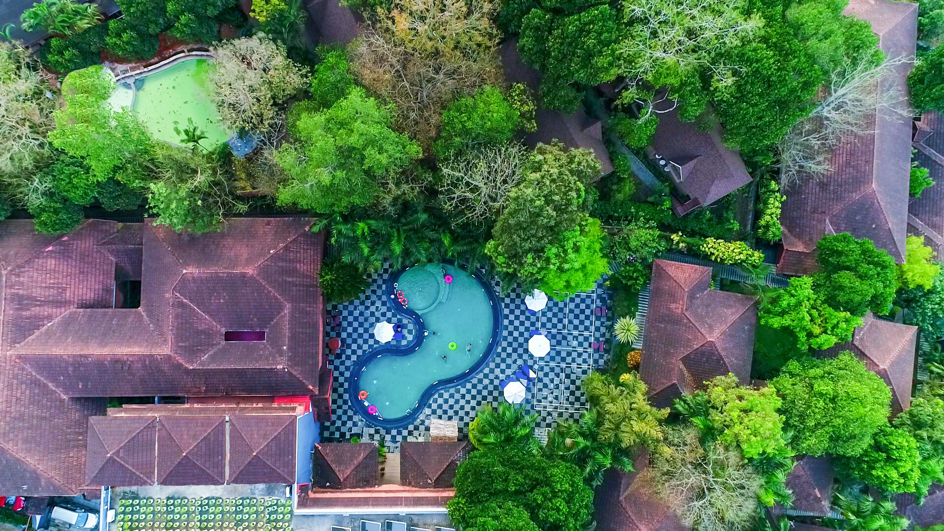 The Elephant Court