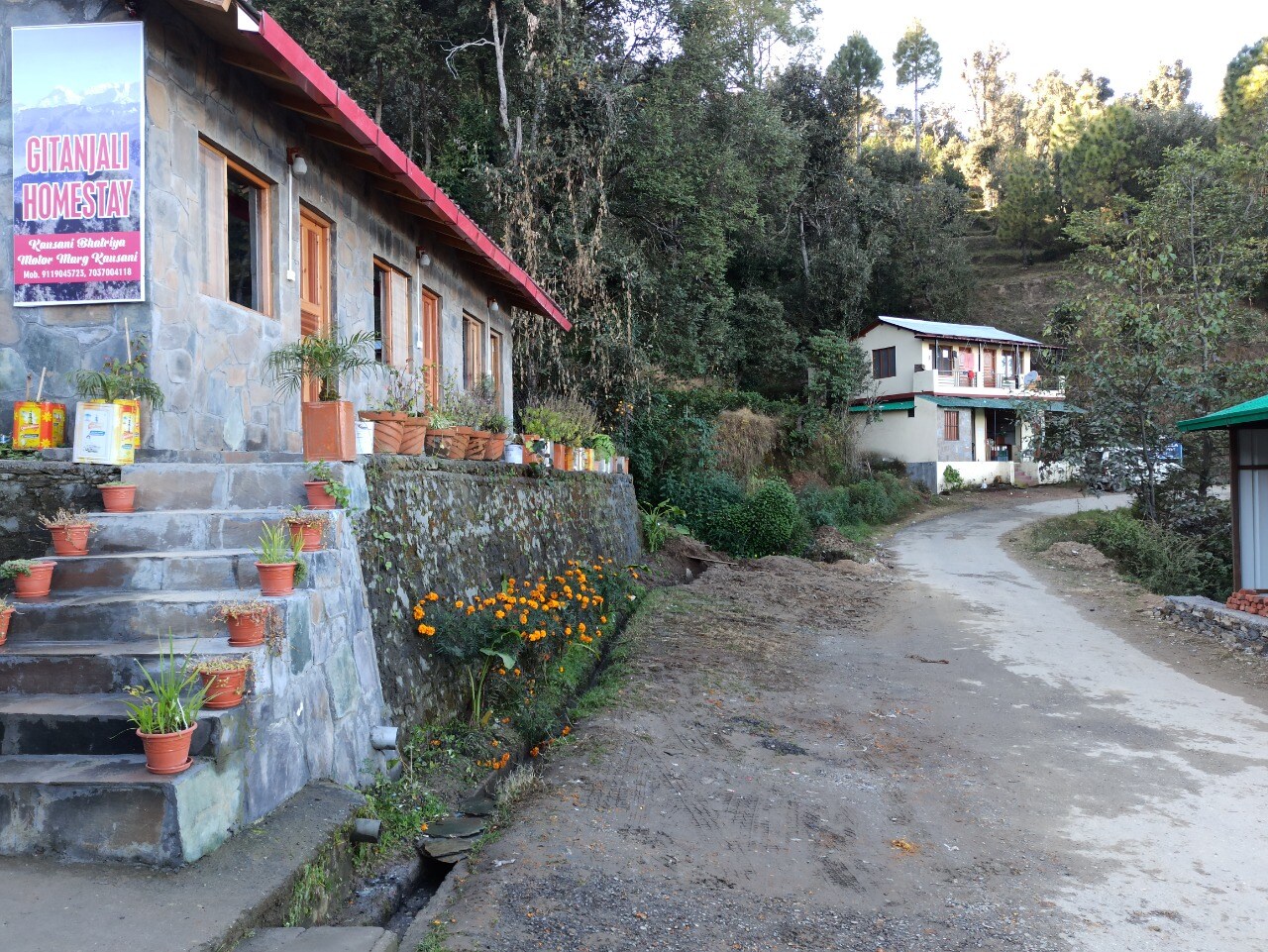 Main gallery