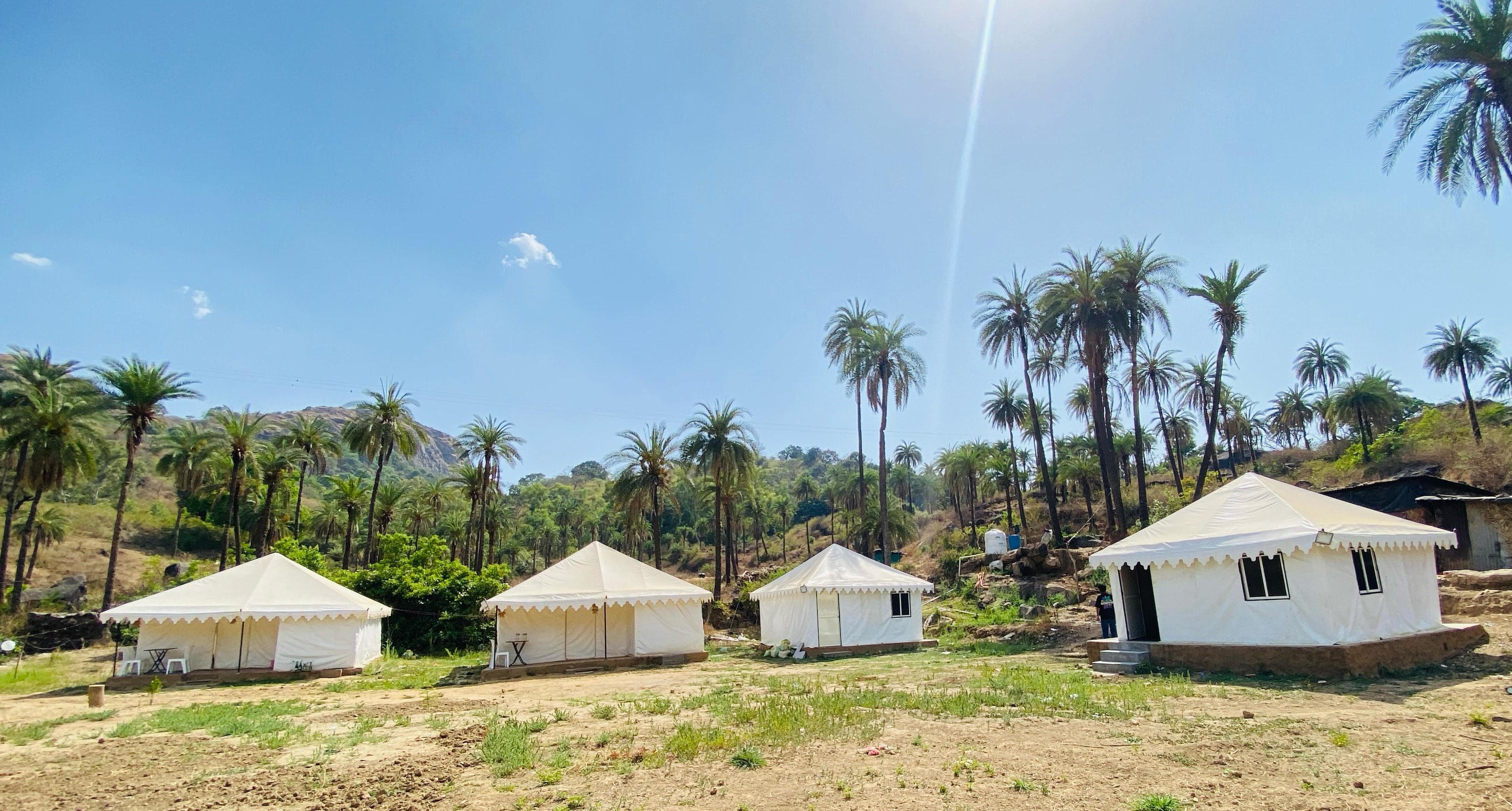 Richi Rich Tent Resort