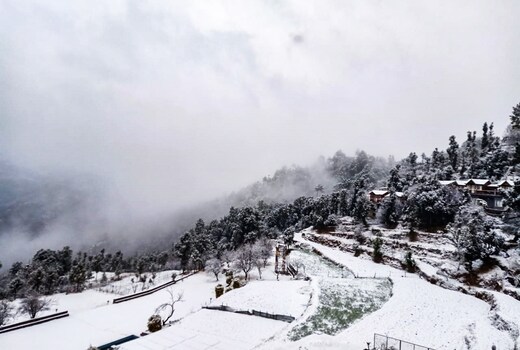 Pailaaag Orchards and Himalayan View Resort