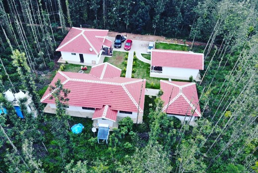 Tan wood home stay