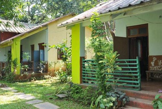 Dandeli Jungle Inn Homestay