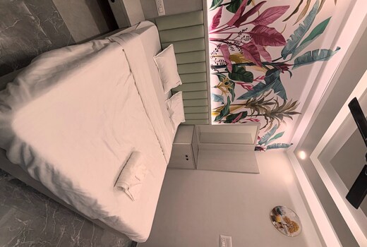 HOTEL AASI INN