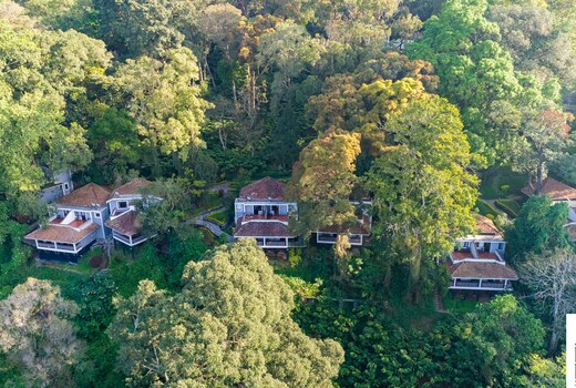 Tall Trees Resort