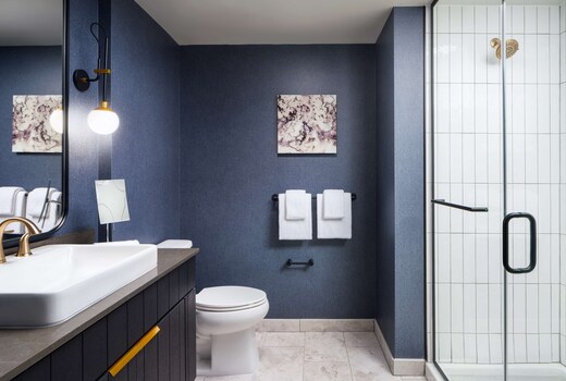 The Hoffmann Hotel Basalt Aspen, Tapestry Collection Hilton