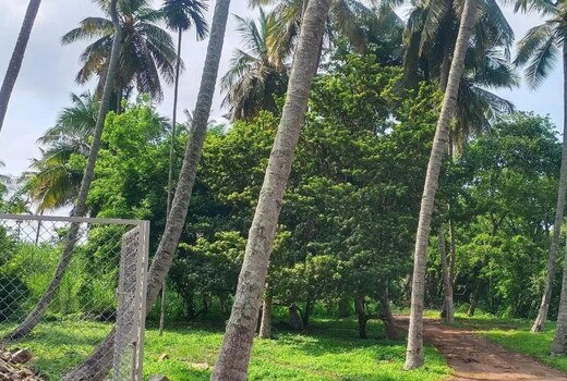 Manvith's Heritage RiverRetreat