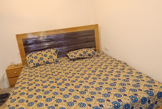 THE AYODHYA EXPRESS INN