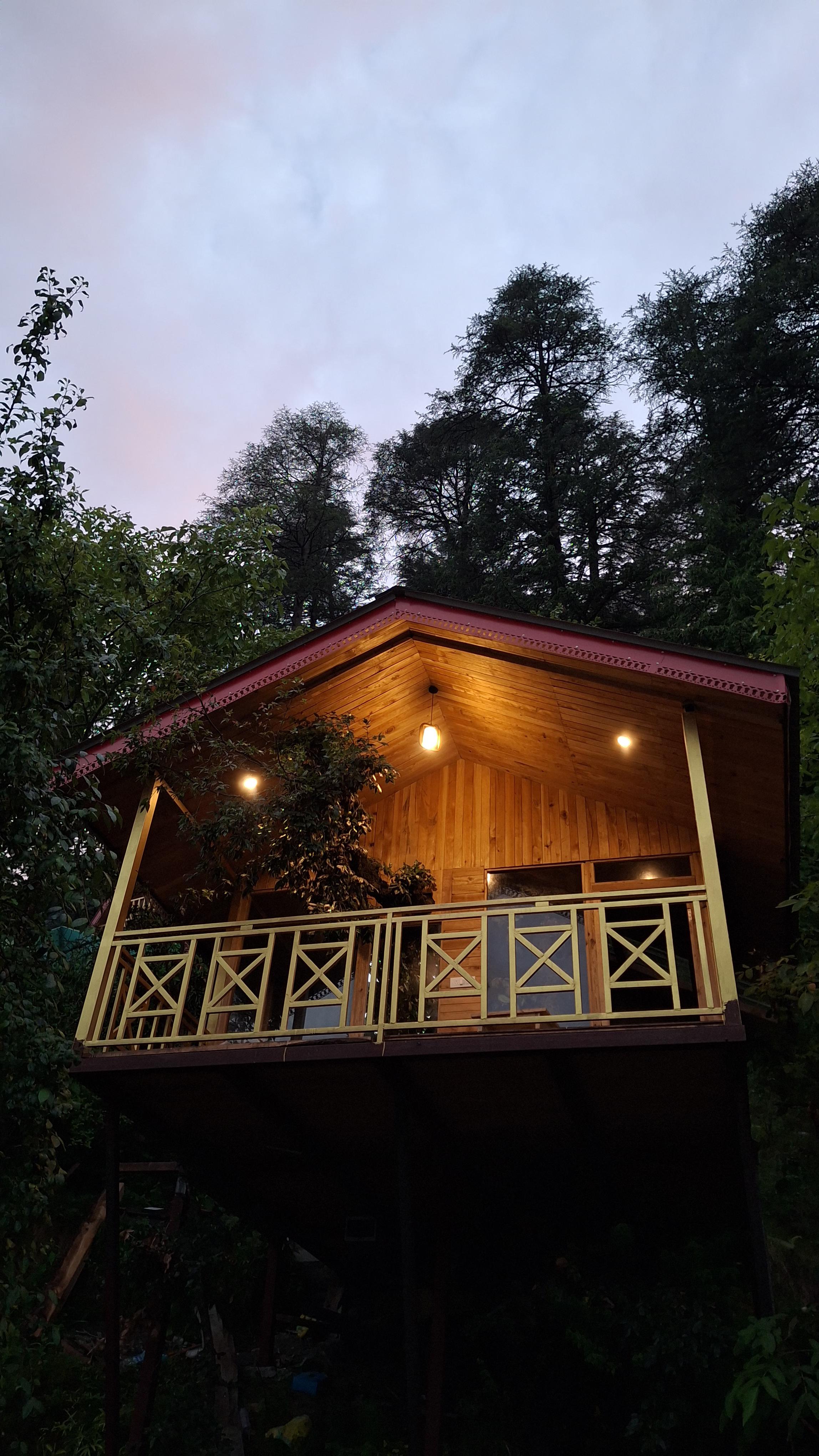 Pinehill treehouse