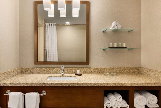 Embassy Suites Denver - Downtown/Convention Center