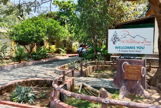 The Whistling Pine Woods anaikatti