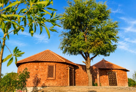Unique Mudwood Retreat | Jodhpur |4 BR|By Homeyhuts