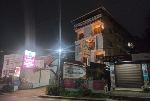 Ayur Nest