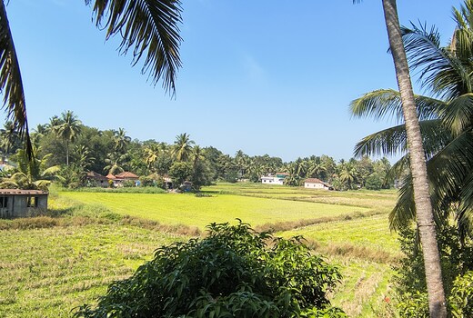 Jayadurga Farms1