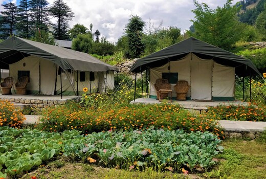 Kinner Camps Sangla | Tents & Caretaler