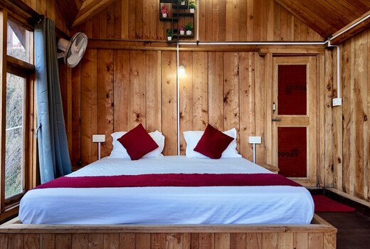 Jibhi cottage 2