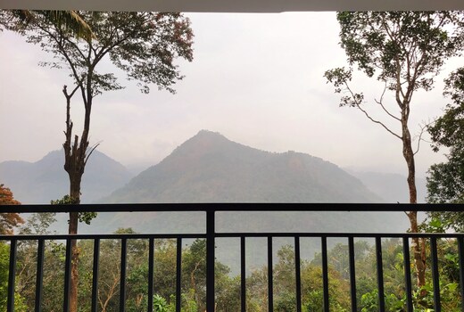 Newcastle Holidays Home