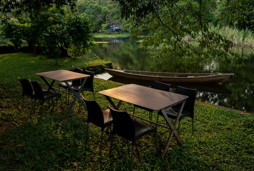The Nest Resort Thattekad