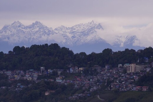 Best View Homestay