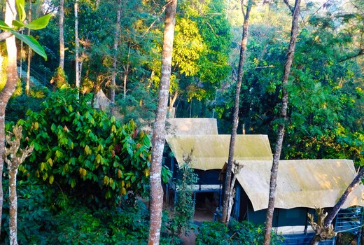 Luxury Tents River Rock