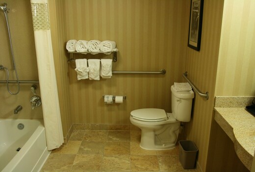 Hampton Inn & Suites Mobile Providence Park/Airport