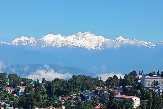 Hotel Azalea Holidays