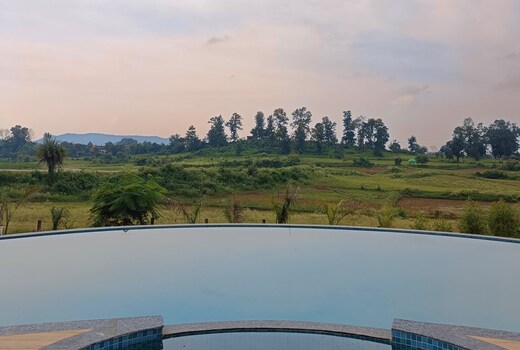 The Golden Woods Resort