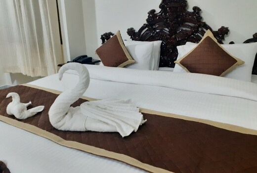 Hotel Aravali Hills View Kuchaman City