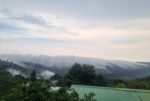 Swami Homestay