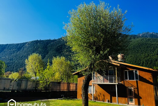 THE ALPINE COTTAGE near Sonmarg