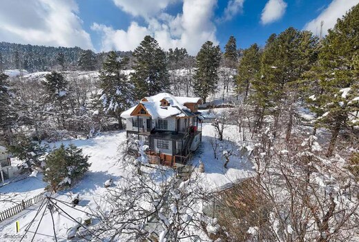 The Cheese Cottage Homestay