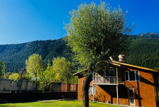 THE ALPINE COTTAGE