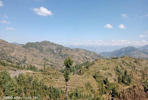 Boom shiva camps