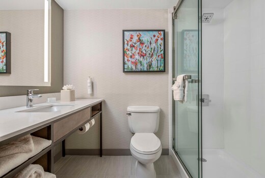 Hilton Garden Inn Dallas-Allen