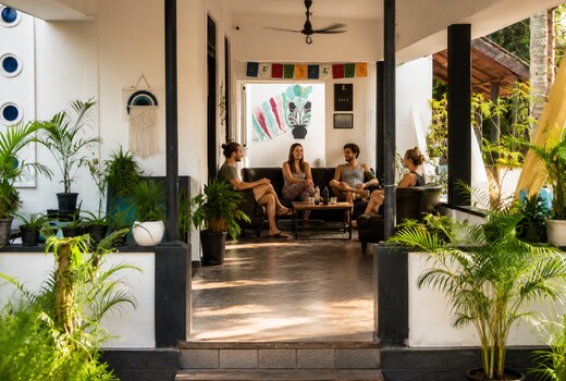 Zebra Hostel