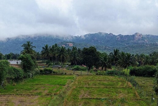 Tusker Trails Farm