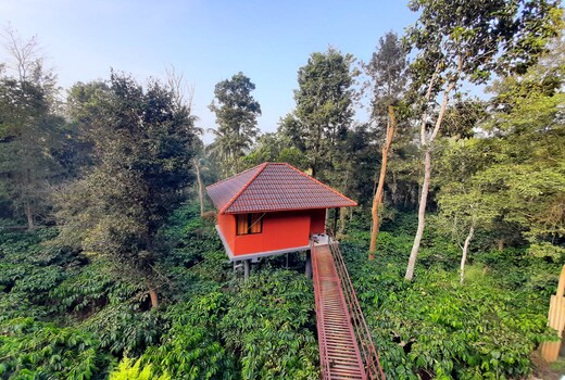 VMJ Wild Stay