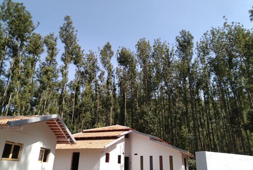 Bullockcart Homestay