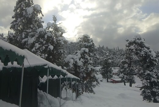 Chopta Valley Camping | Rooms & Guided Treks
