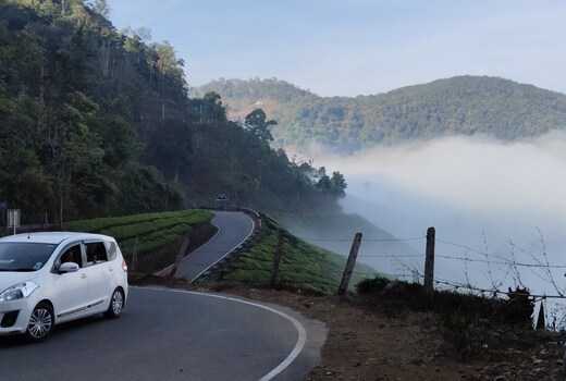 CARDAMOM HILLS
