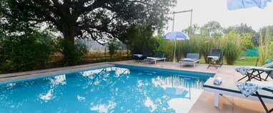 Jungle Book Ranthambore