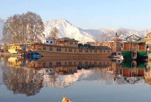 Butterfly Group of Houseboat