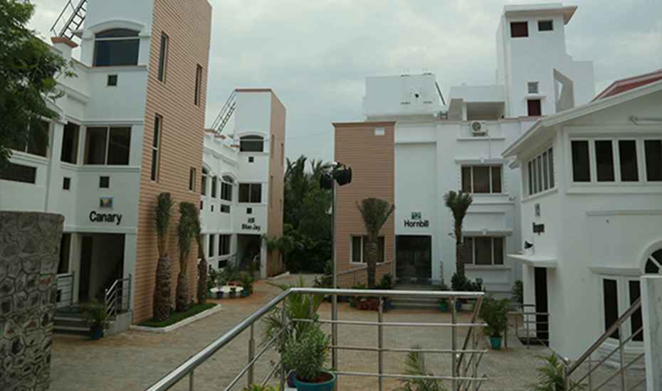 Main gallery
